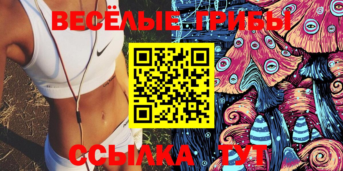 Мценск  Галлюциногенные грибы прущие грибы  Вход с VPN 